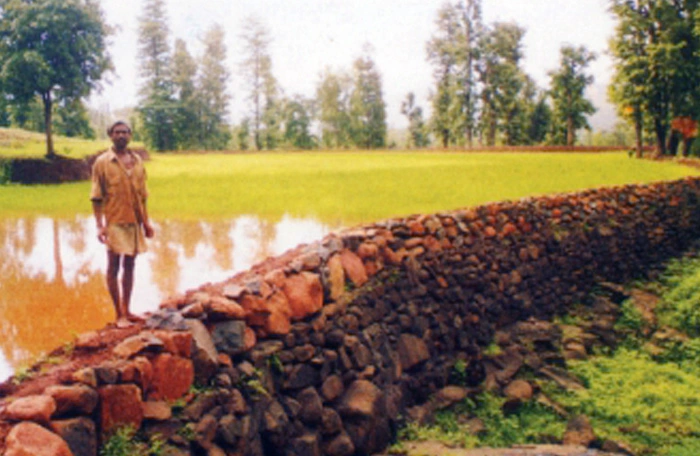 Check Dams